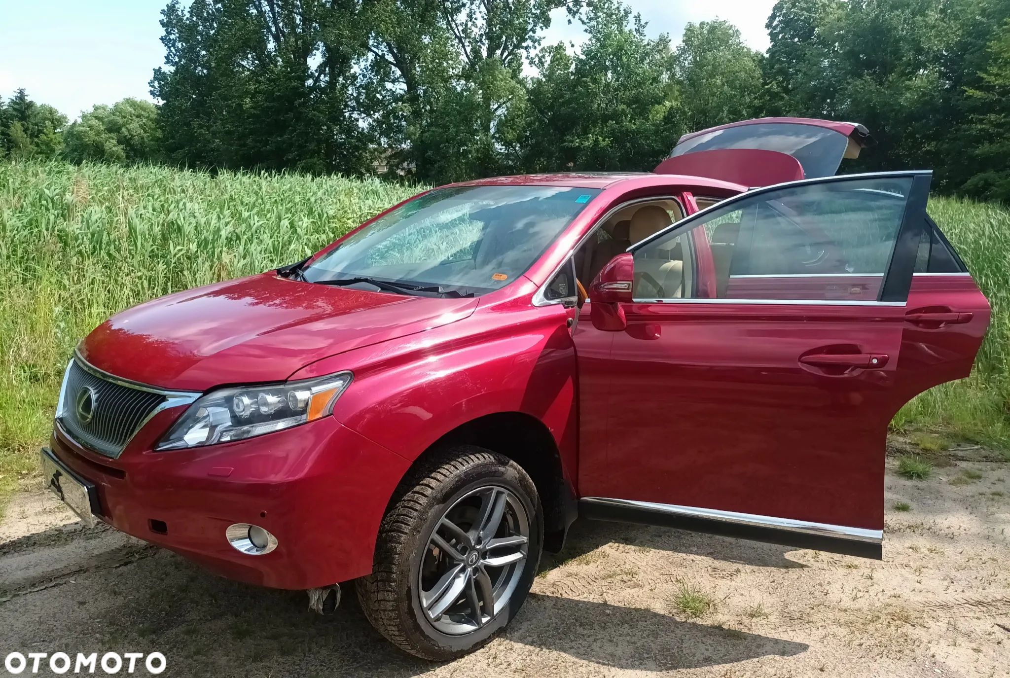 Lexus RX 450h (hybrid) Executive Line - 1