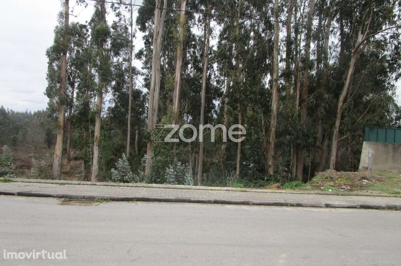 Terreno misto com 30.500 M2 em Alvarelhos Trofa-Porto - Grande imagem: 3/15