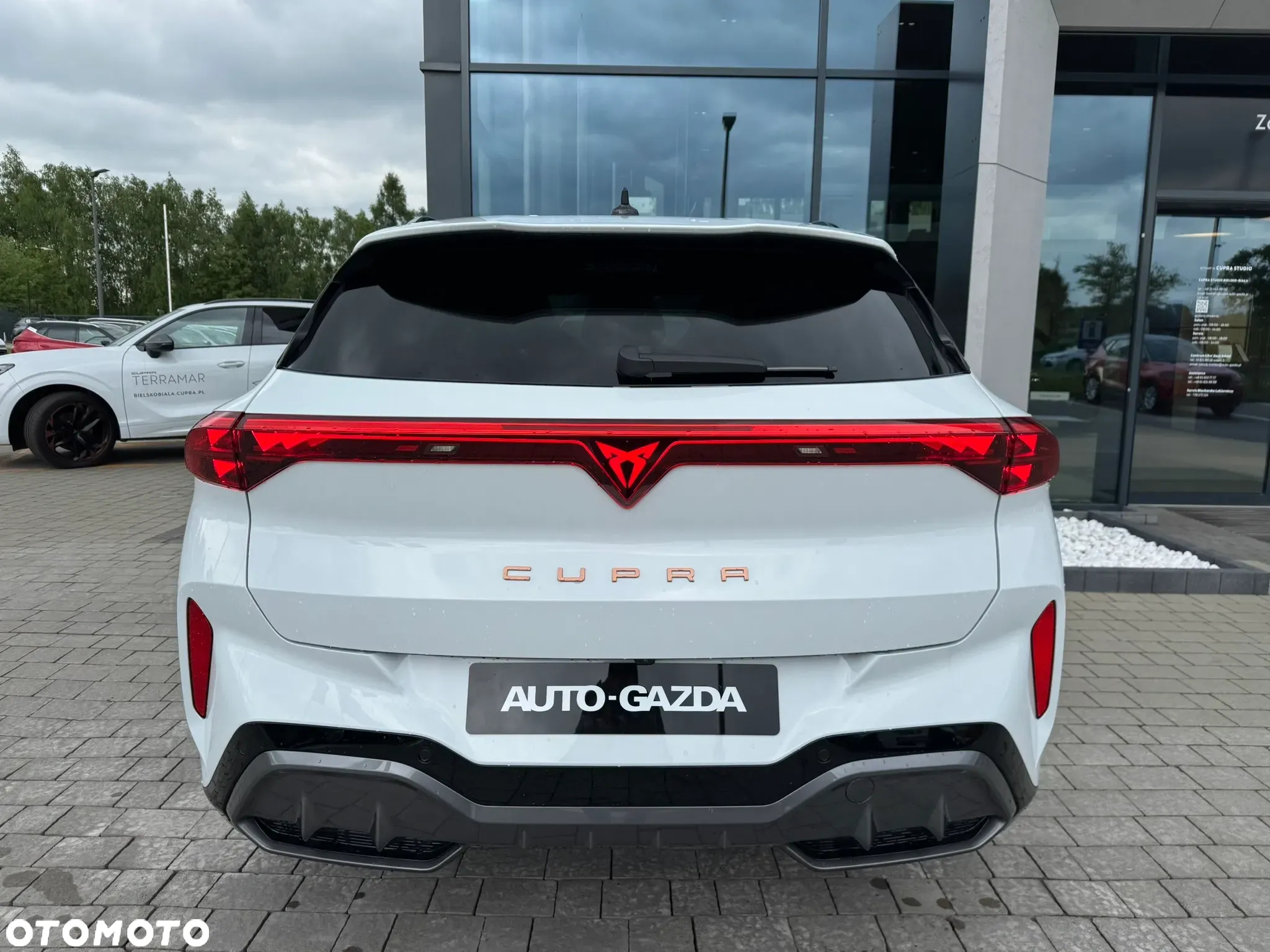Cupra Terramar 1.5 eTSI mHEV DSG - 6