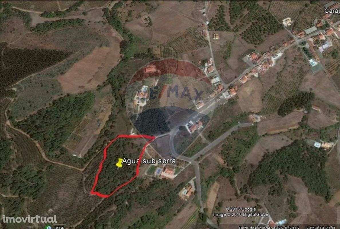 Terreno para Venda - Grande imagem: 2/3