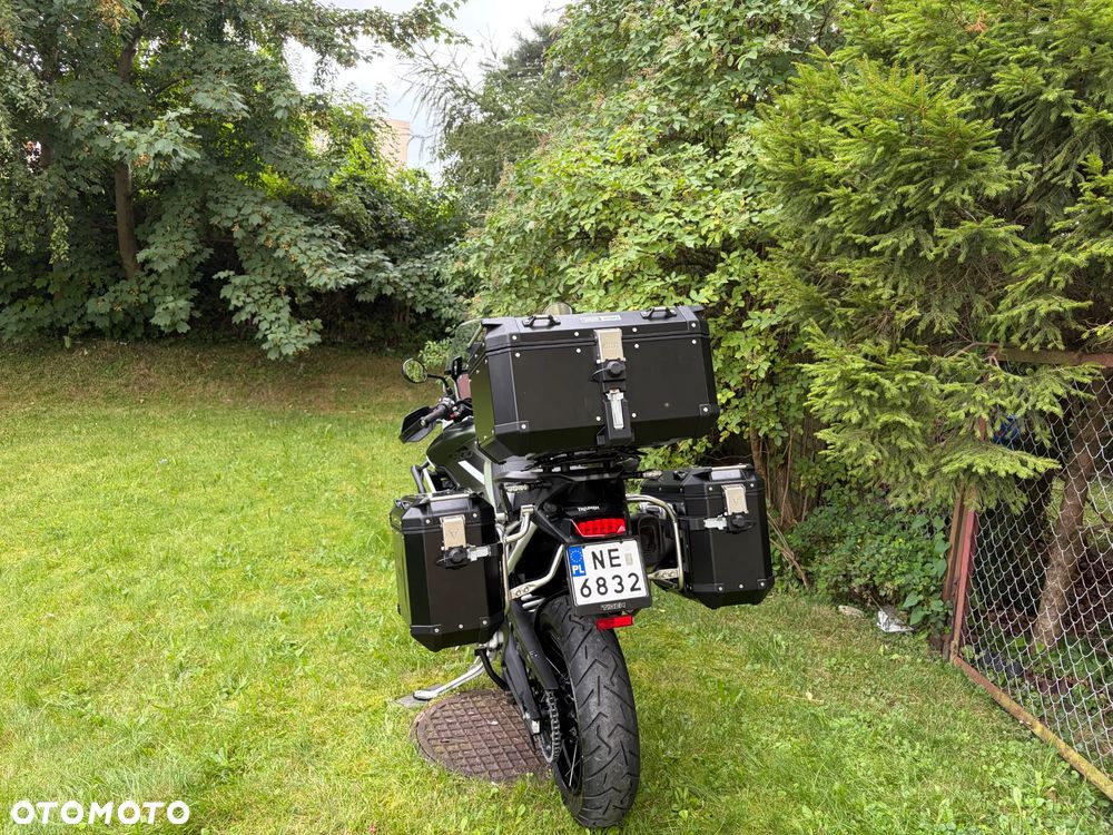 Triumph Tiger - 23
