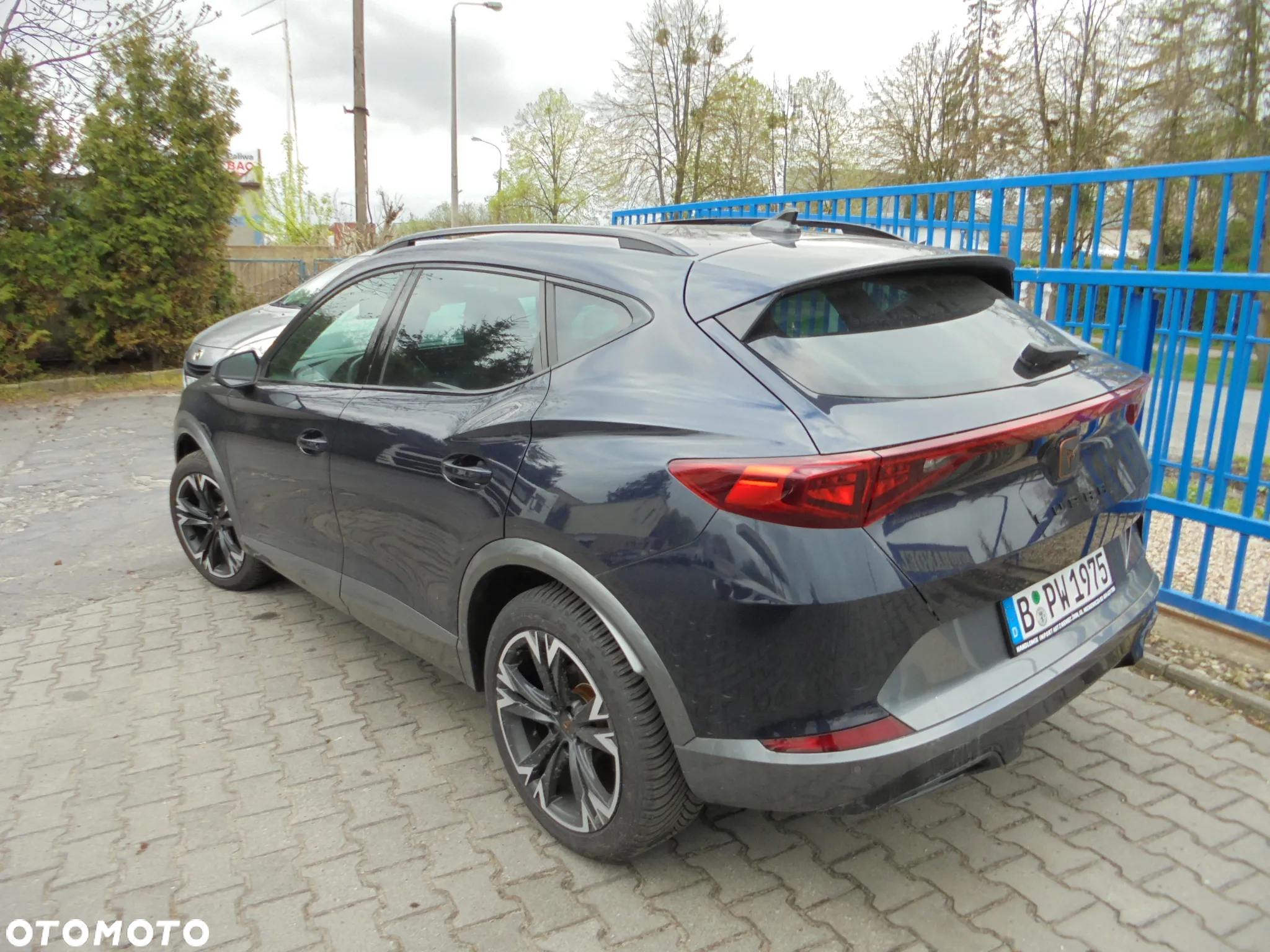 Cupra Formentor 1.5 TSI DSG Tribe Edition - 3