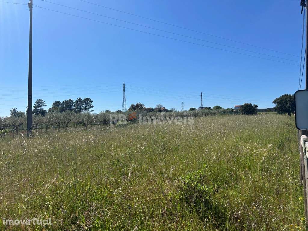 Terreno vedado com 8.240m² em malha Urbana - Tomar - Grande imagem: 2/12