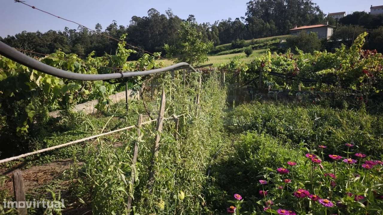 Terreno Rustico Em Cristelo - Grande imagem: 4/13