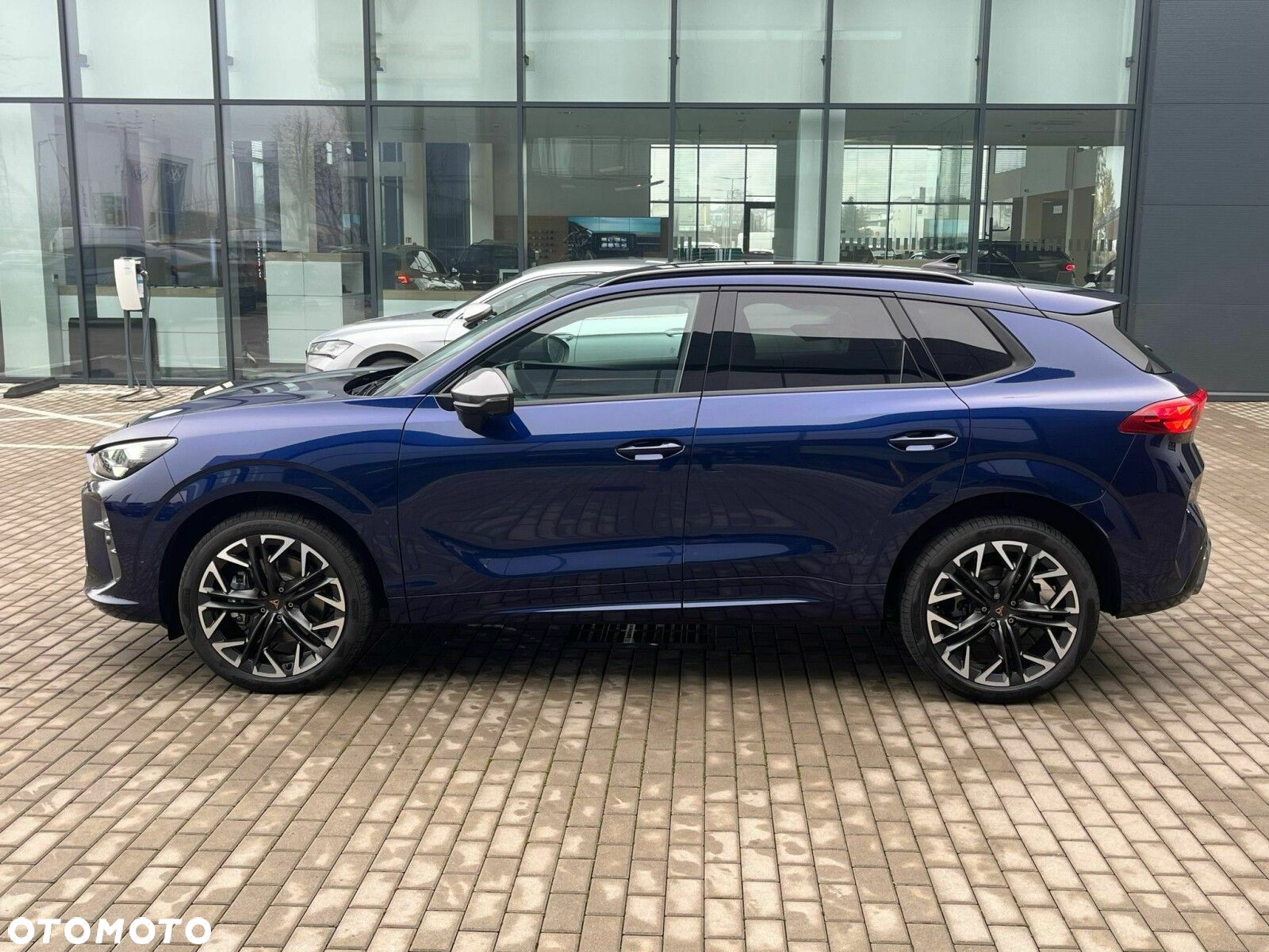 Cupra Terramar - 11