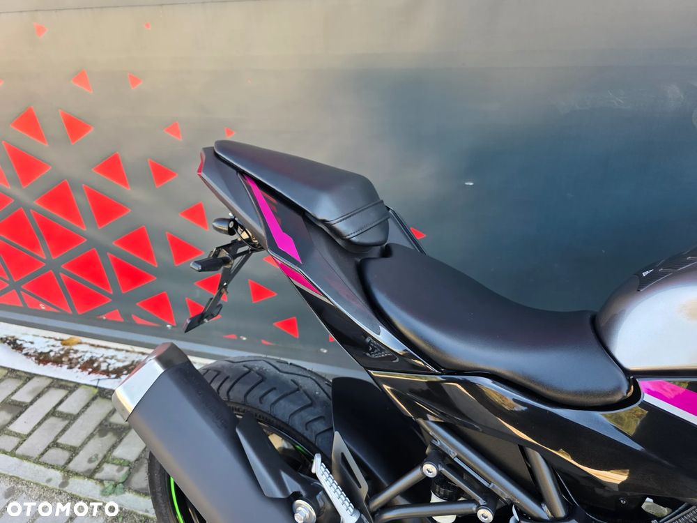Kawasaki Ninja - 22