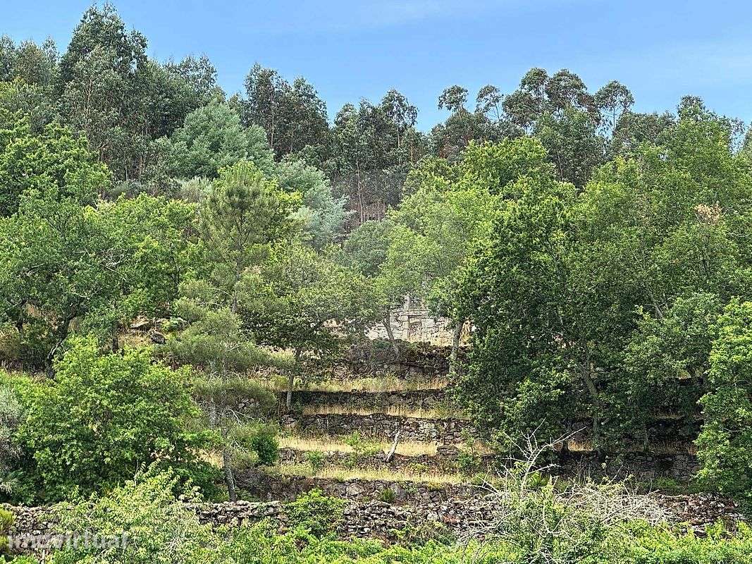 Terreno  para venda - Grande imagem: 3/24