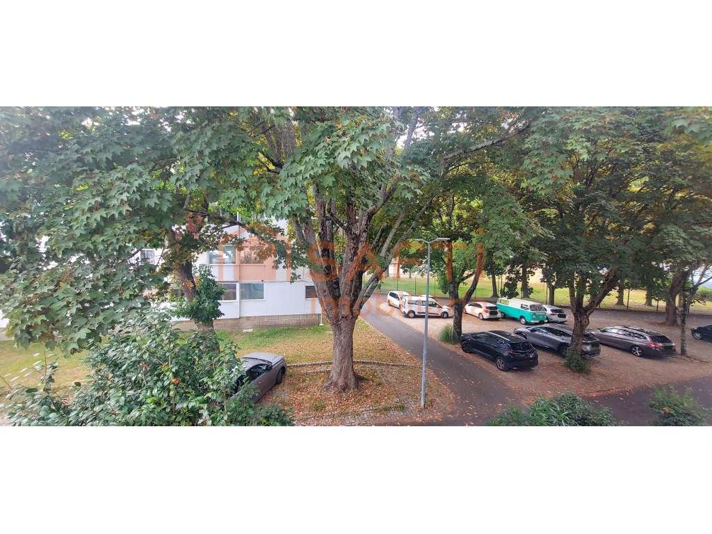 Apartamento T3 - Grande imagem: 5/15