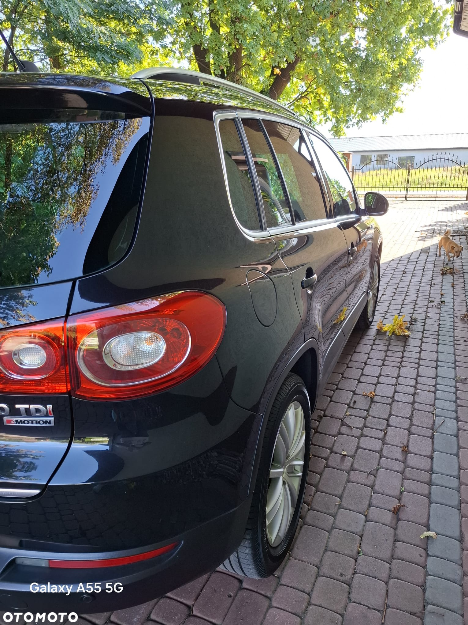 Volkswagen Tiguan - 11