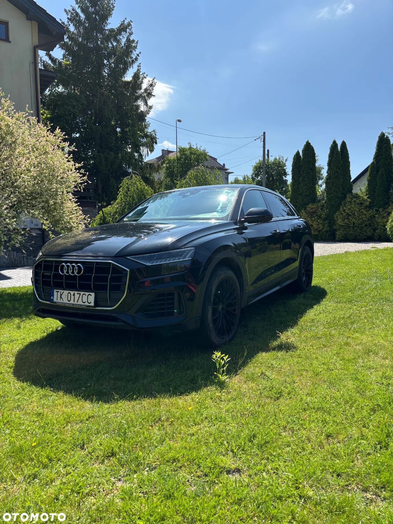 Audi Q8 - 1