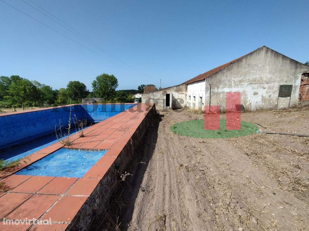 Quinta em Rio Maior ***RIOMAGIC*** - Grande imagem: 3/60