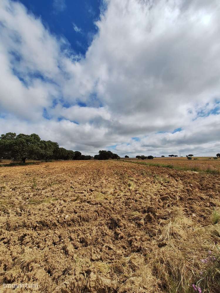 Venda Terreno - Grande imagem: 3/21