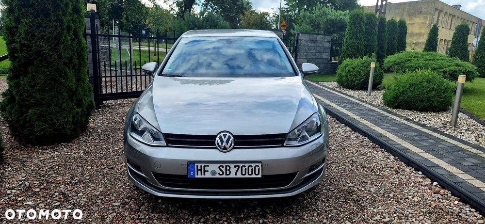 Volkswagen Golf - 29