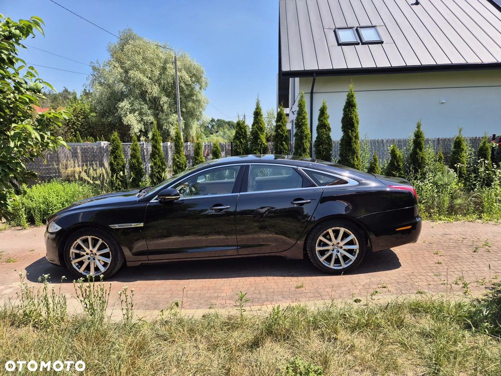 Jaguar XJ 3.0 D V6 LWB Premium Luxury - 7