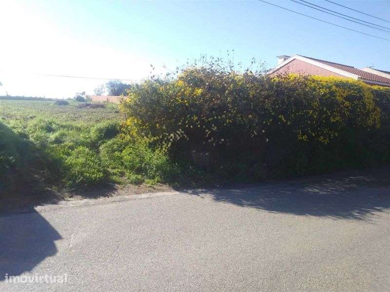 Terreno 1500 M2 - Cacia - Grande imagem: 2/3