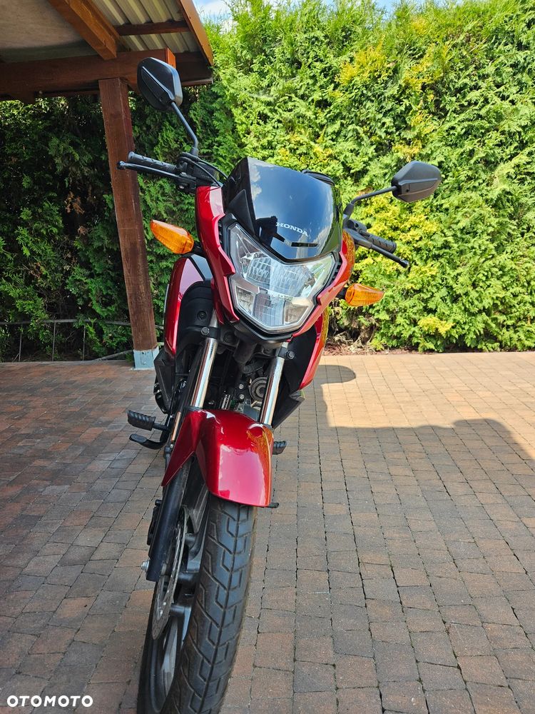Honda CBF - 8