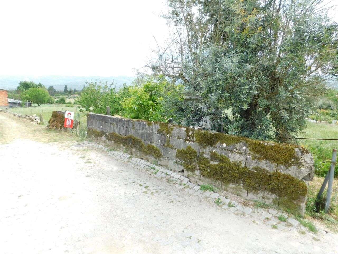 Terreno Rústico / Seia, Pinhanços - Grande imagem: 2/4