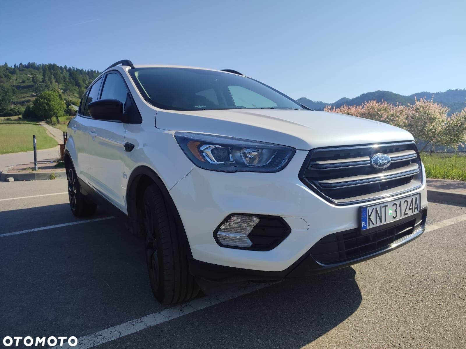 Ford Escape 1.5 EcoBoost AWD SE - 2