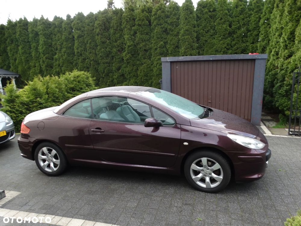 Peugeot 307 - 5
