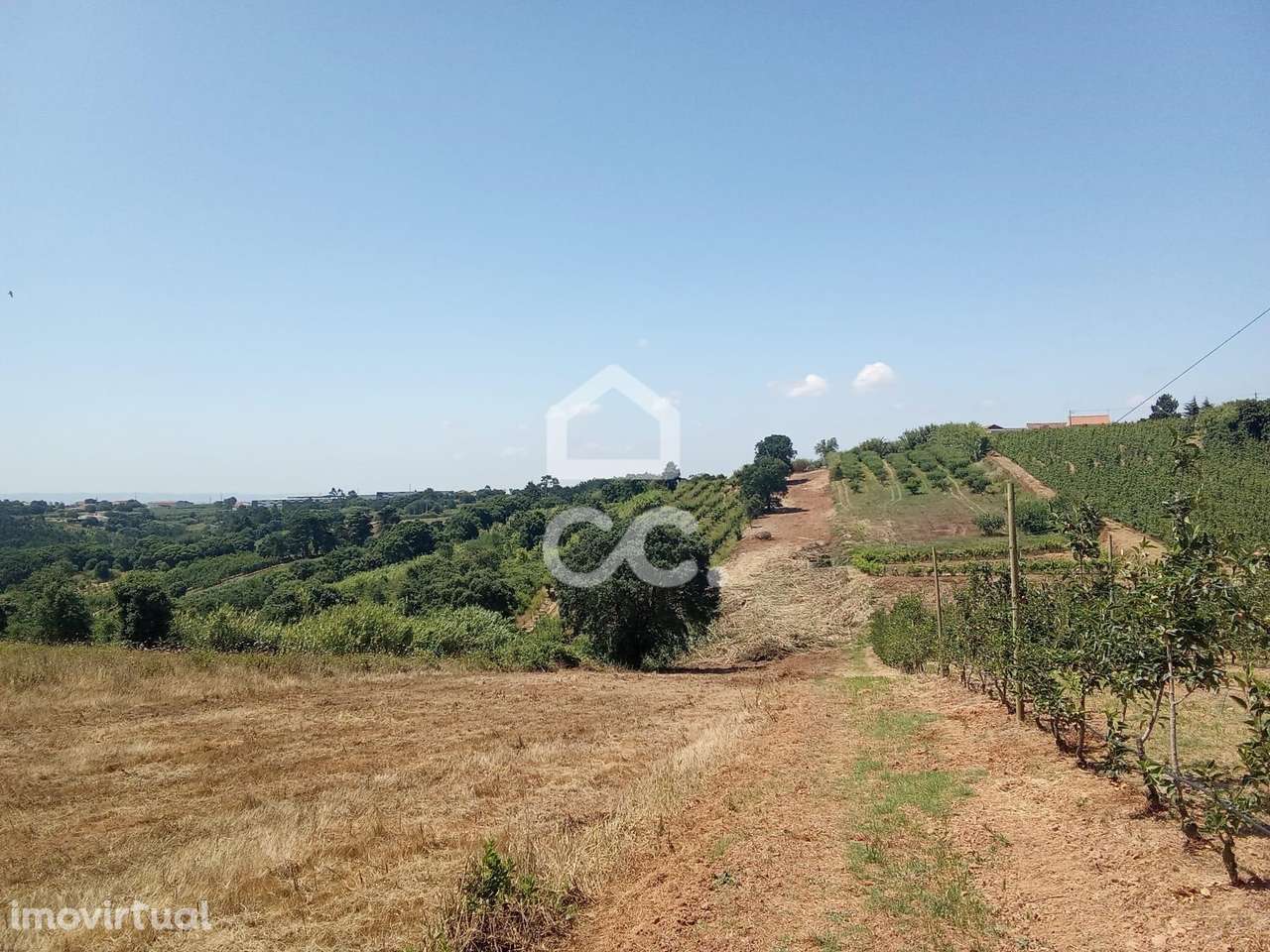 Terreno Rústico com 3.880 m² – Excelente Oportunidade em Usseira, a 3 - Grande imagem: 4/13