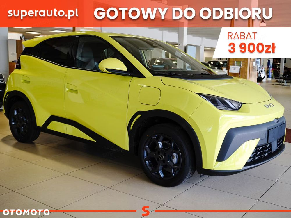 BYD Dolphin Surf - 1