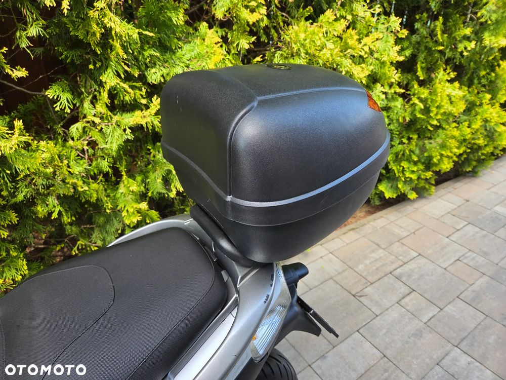 Piaggio Carnaby - 14