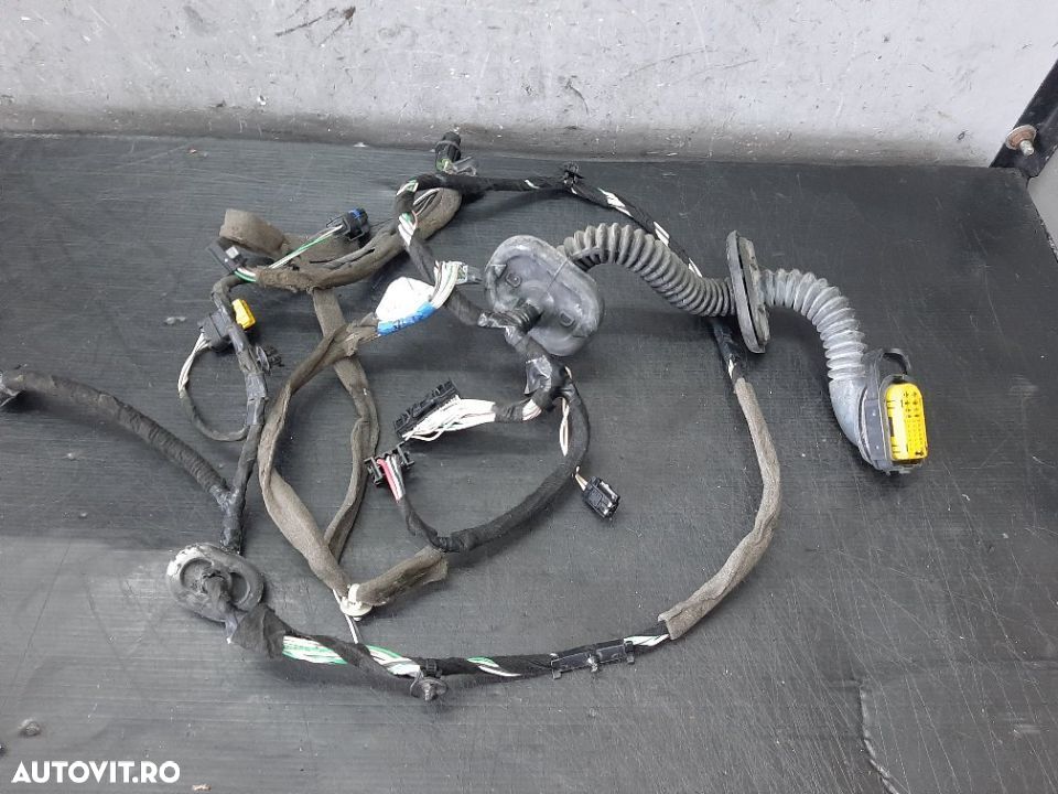 Cablaj instalatie electrica usa stanga fata renault laguna 3 bt0 1 241250105r - 1