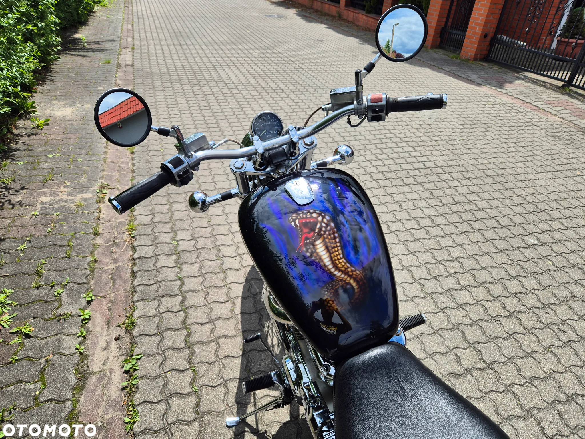 Suzuki Intruder - 12