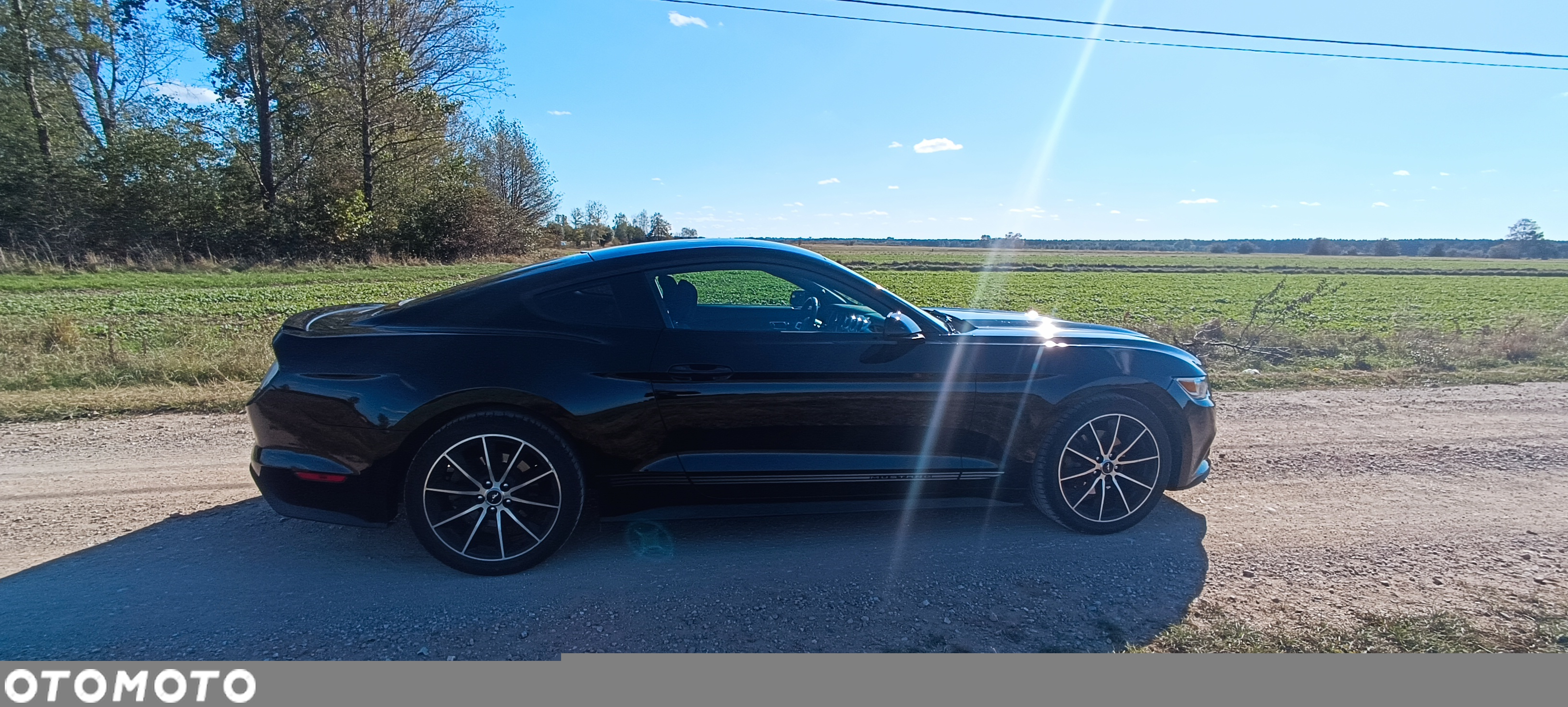 Ford Mustang 2.3 Eco Boost - 5
