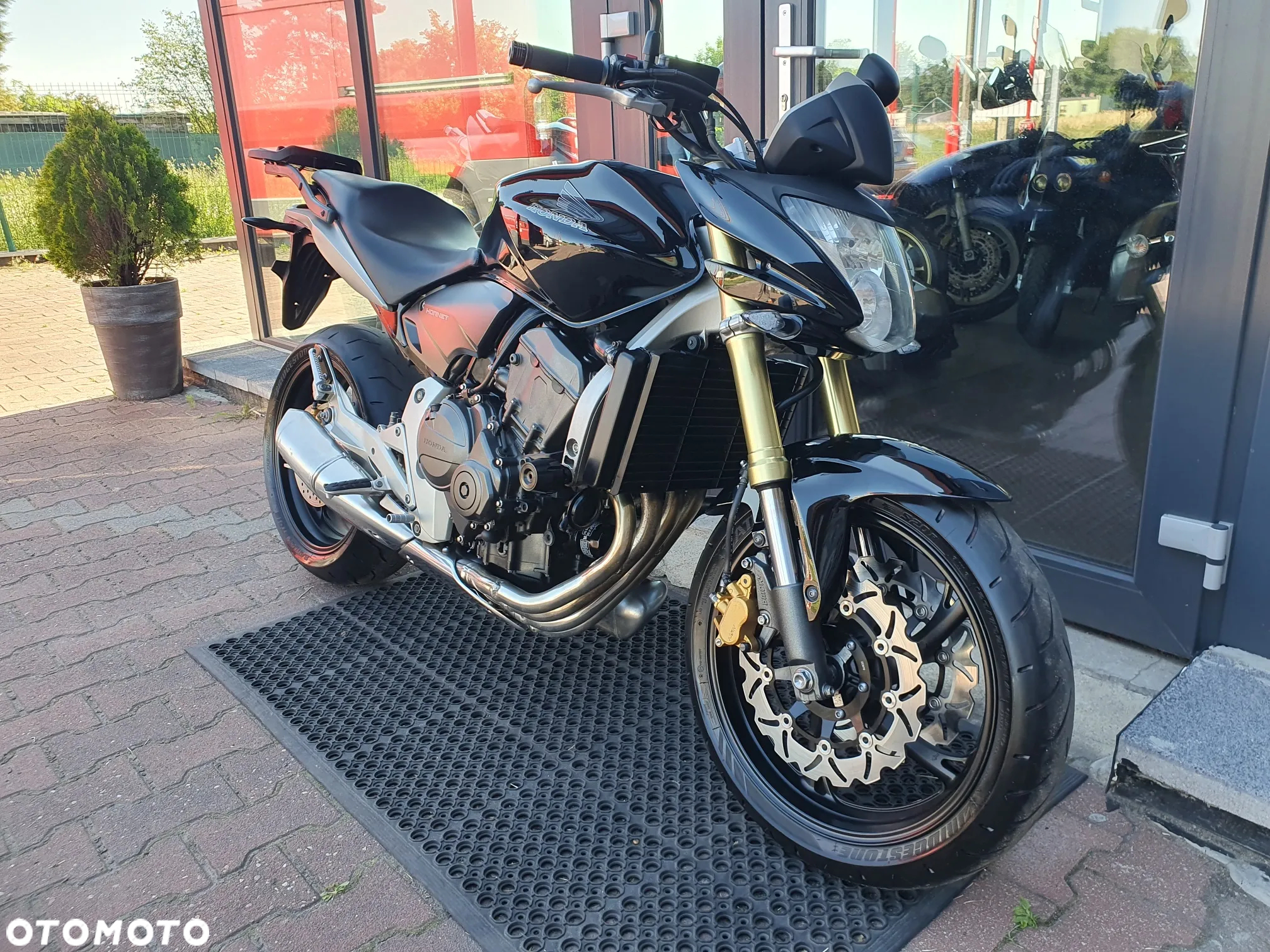Honda Hornet - 7