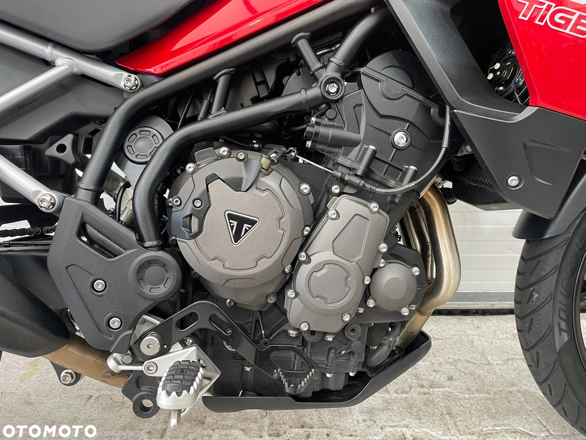 Triumph Tiger - 16