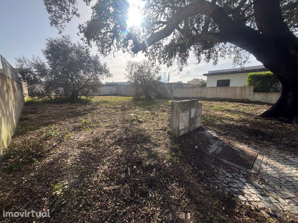 Lote Urbano Exclusivo em Azeitão | 470 m² - Grande imagem: 4/7