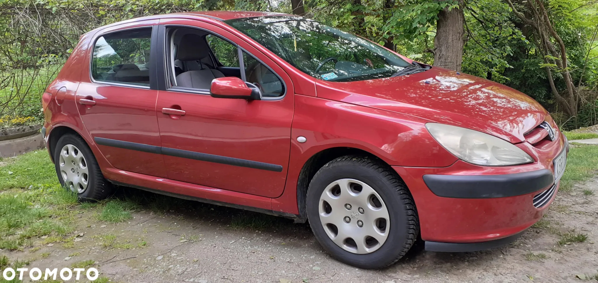 Peugeot 307 1.6 - 12
