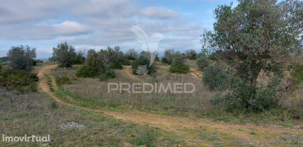 Terreno Rústico com 25.560 m2, conselho de Santarém. - Grande imagem: 3/24