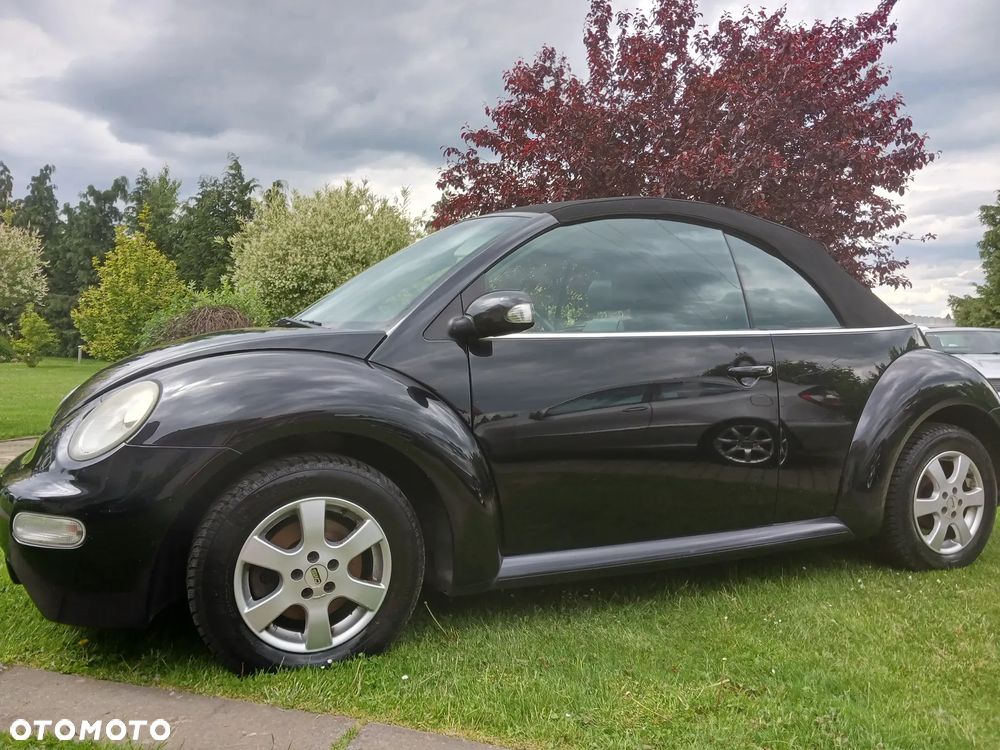 Volkswagen Beetle - 8