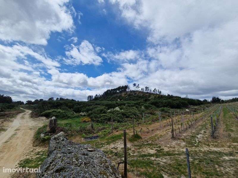 Terreno  rústico - Grande imagem: 4/6