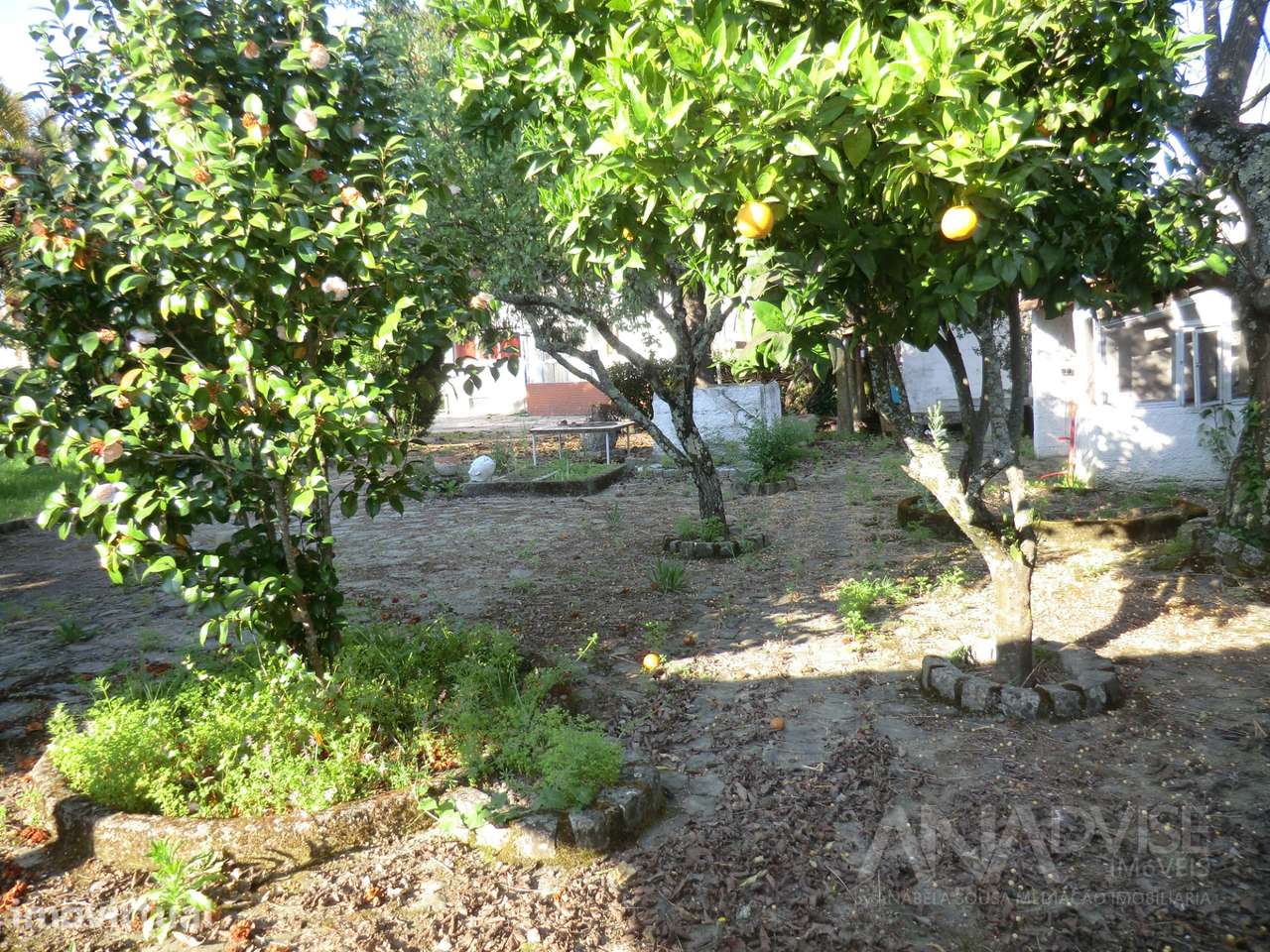 Prédio T8 Venda em Viseu,Viseu - Grande imagem: 3/48