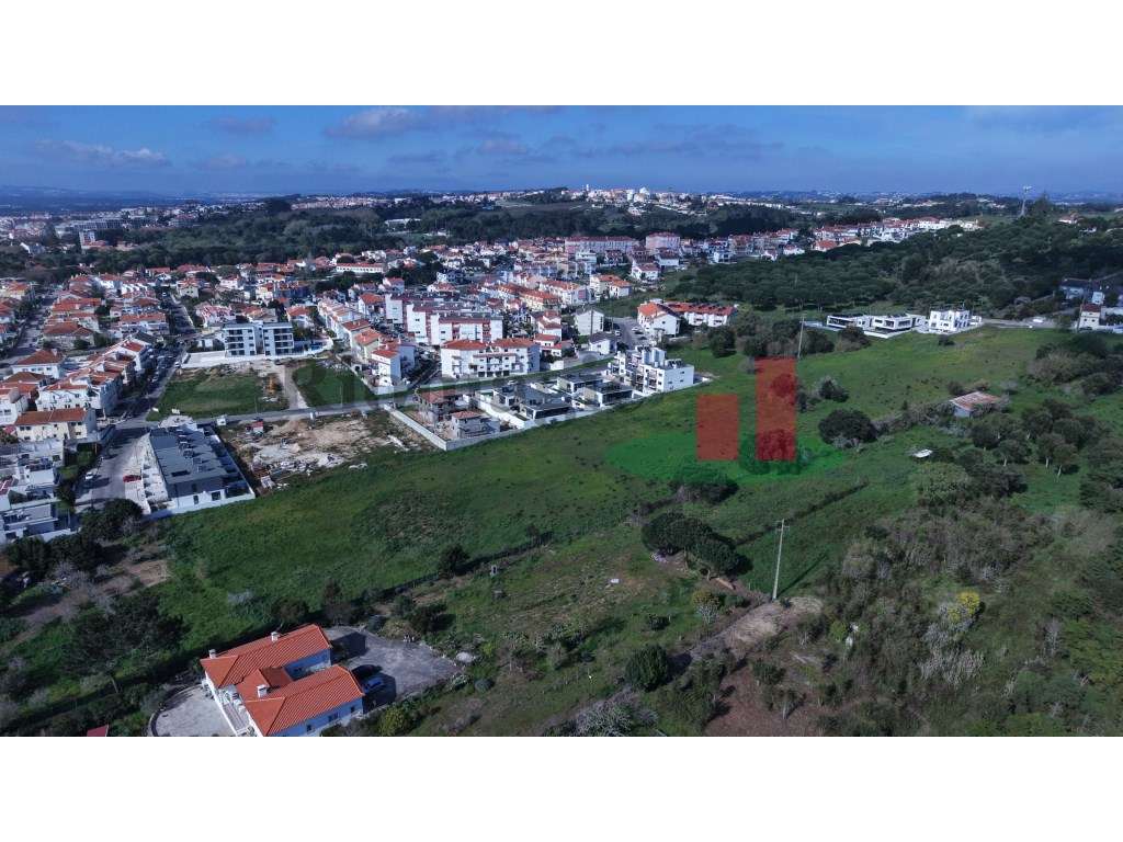 Terreno 1,9ha com Viabilidade Construtiva em Caldas da Rainha - Avenal - Grande imagem: 3/32