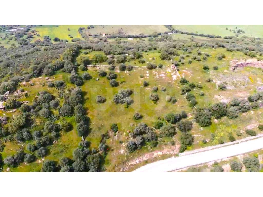 Terreno na Encosta do Castelo de Monsaraz - Grande imagem: 2/23