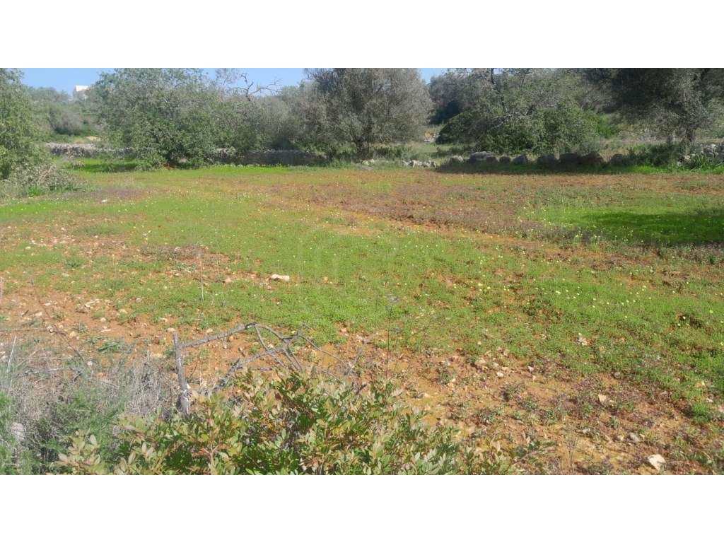 Terreno rústico em Ferreiras, Albufeira, Algarve - Grande imagem: 4/14