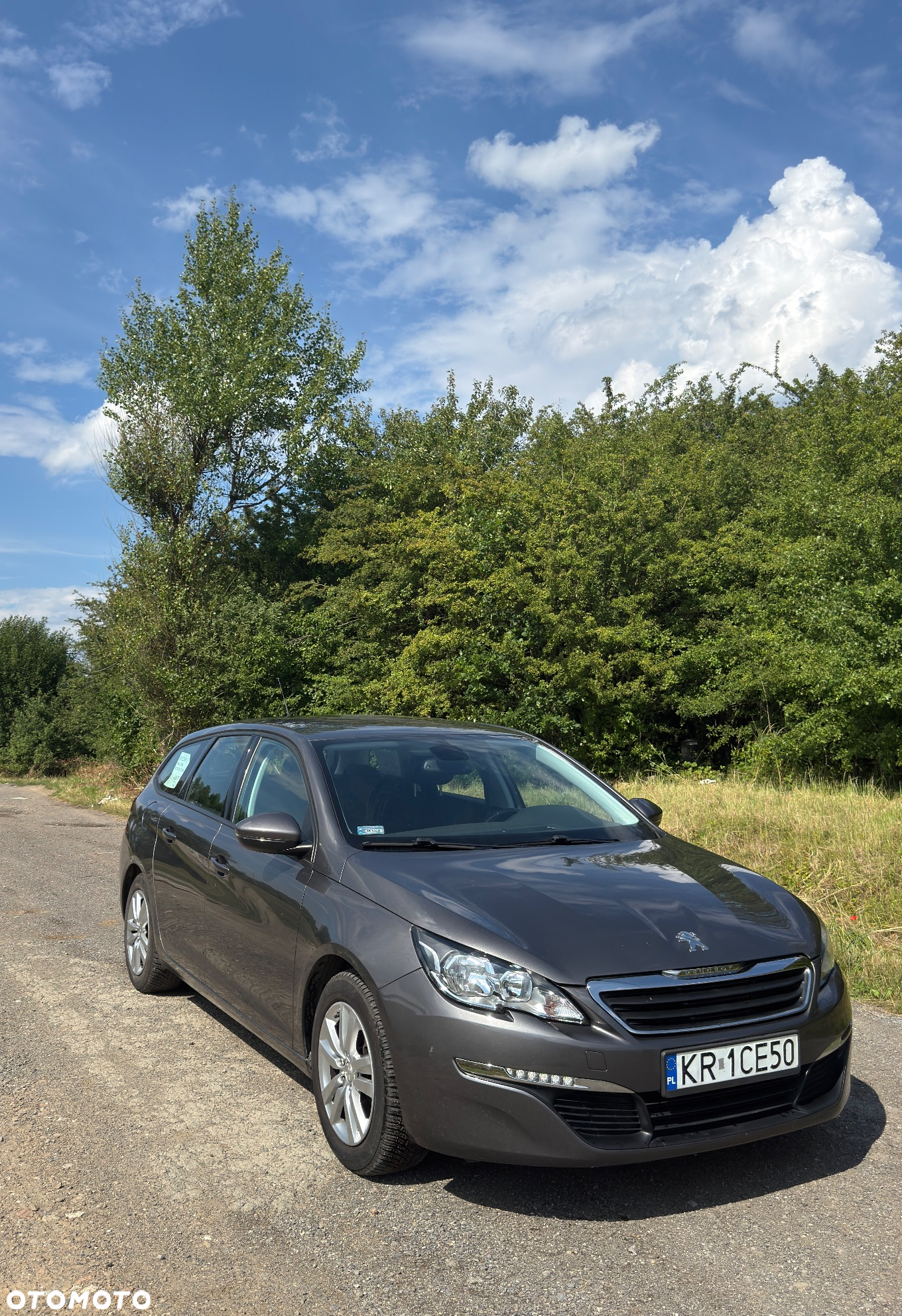 Peugeot 308 SW 1.6 BlueHDi Active S&S - 3