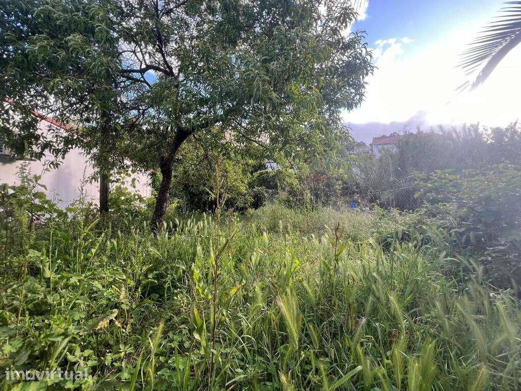 Moradia M3 em zona de São Martinho do Bispo - Grande imagem: 3/5