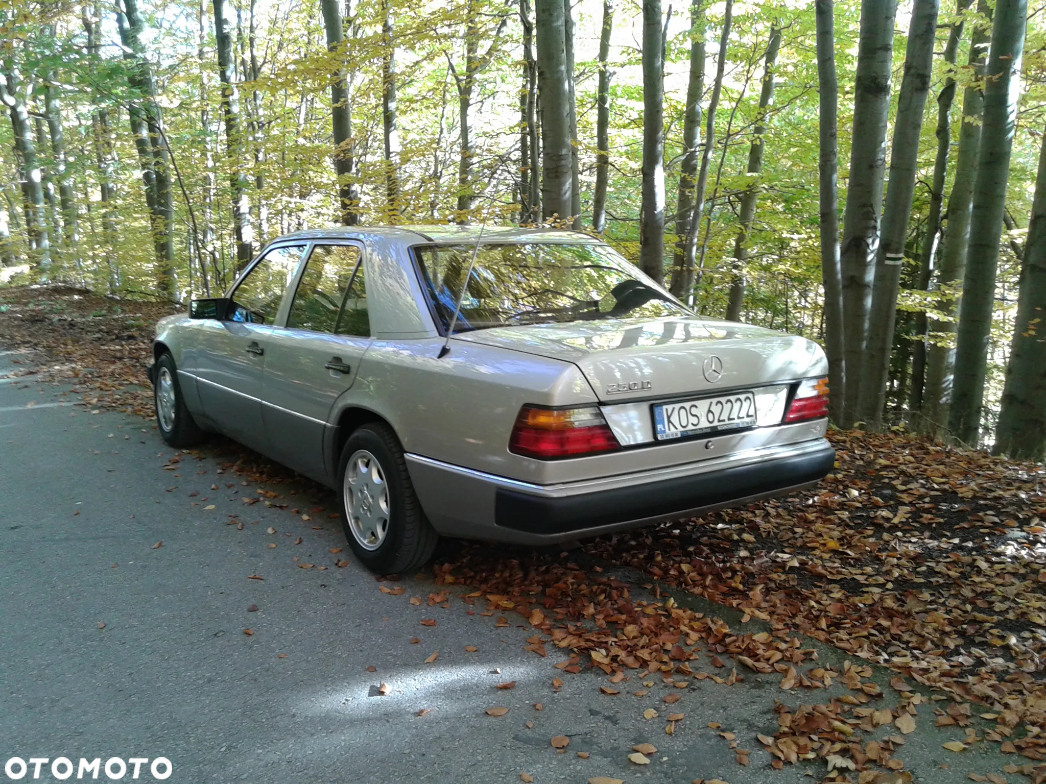 Mercedes-Benz W124 (1984-1993) - 5