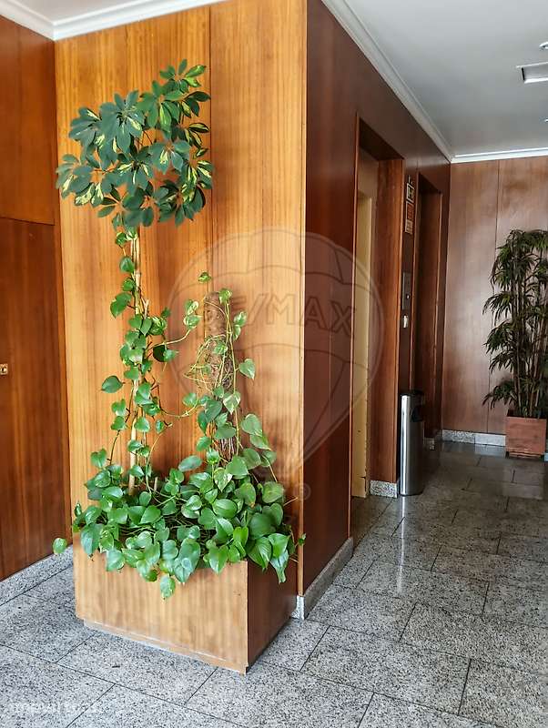 Apartamento T1 para arrendamento - Grande imagem: 4/26