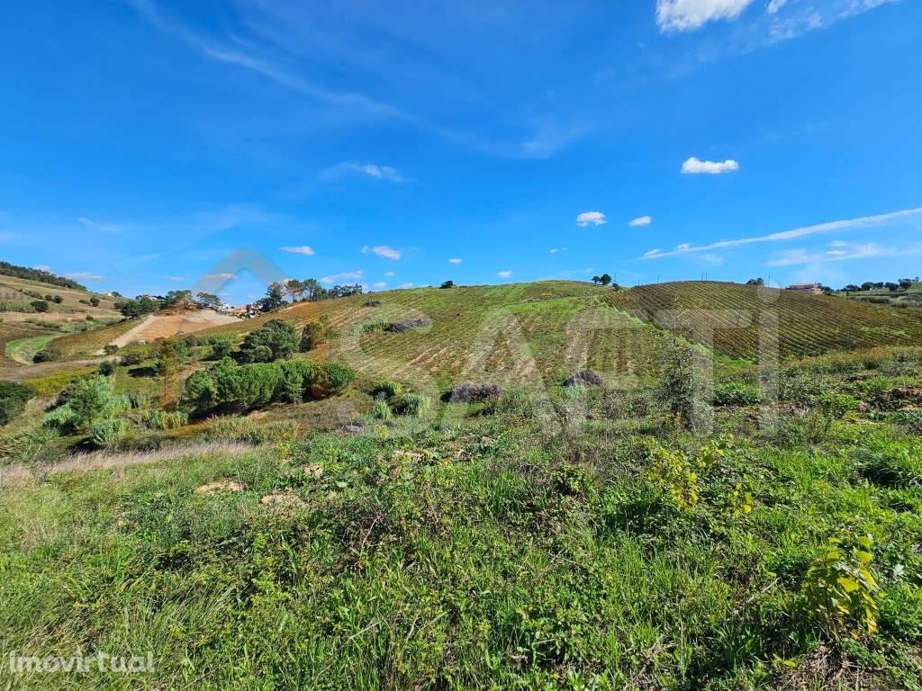 VENDA - TERRENO RÚSTICO - LIVRAMENTO MAFRA - Grande imagem: 4/42