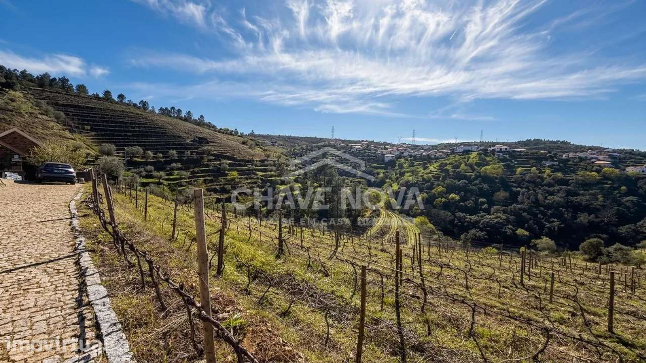 UMA QUINTA PARA VIVER O DOURO - Grande imagem: 3/16