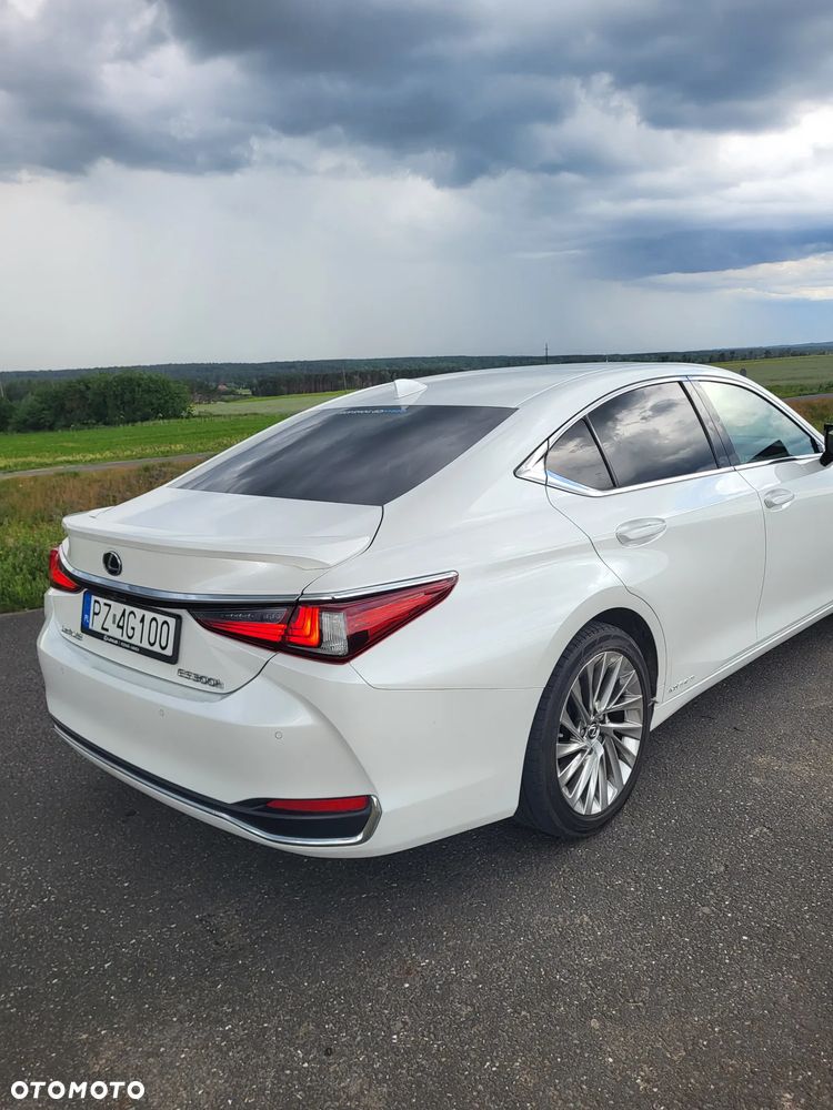 Lexus ES 300h Omotenashi - 8
