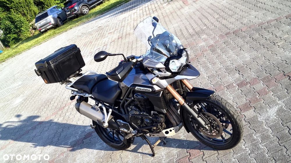 Triumph Tiger - 21