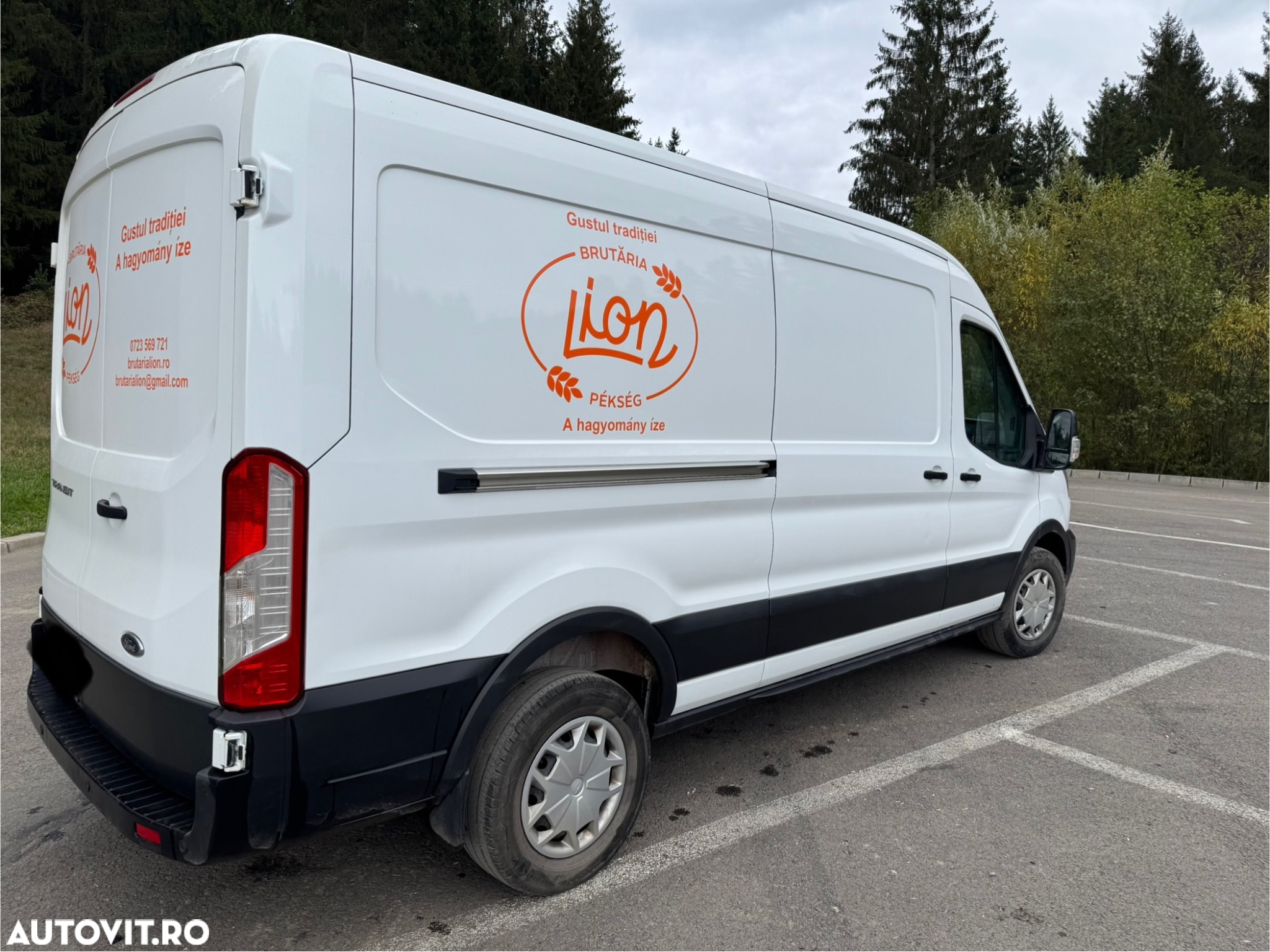 Ford Transit - 5