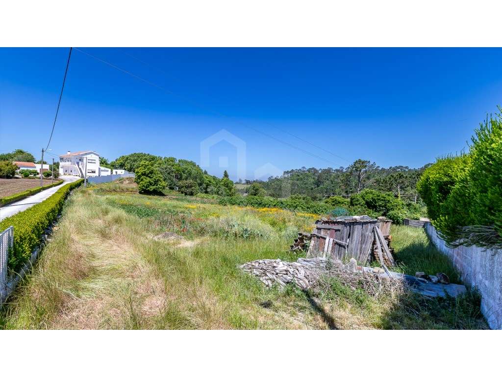 Vende Terreno - Ericeira 15 Km, A Casa das Casas - Grande imagem: 2/14